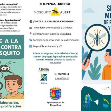 FB_IMG_1747945058226